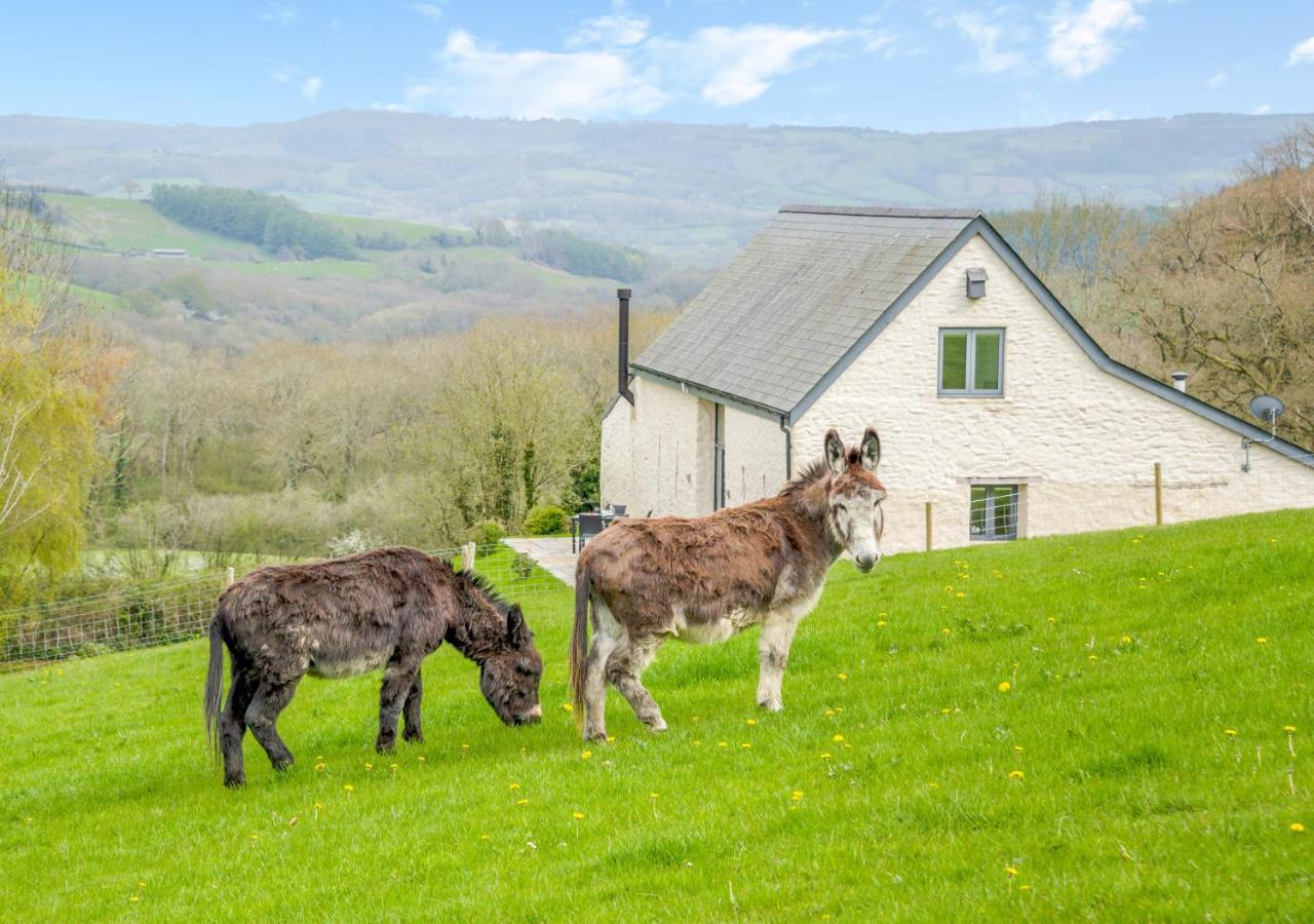 Apartamento Usk Barn Llanbadoc Exterior foto
